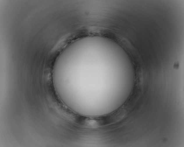 X0000114180706200910221713