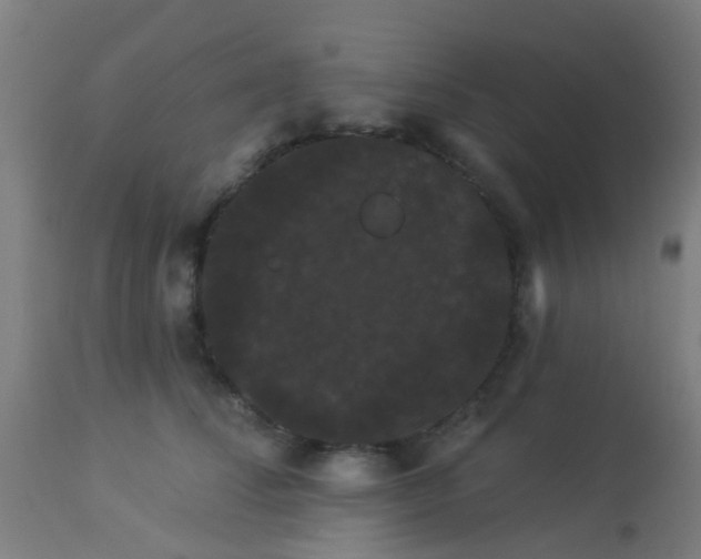 X0000114180708200910221713