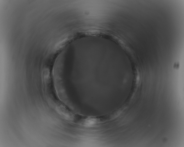 X0000114180711200910221713