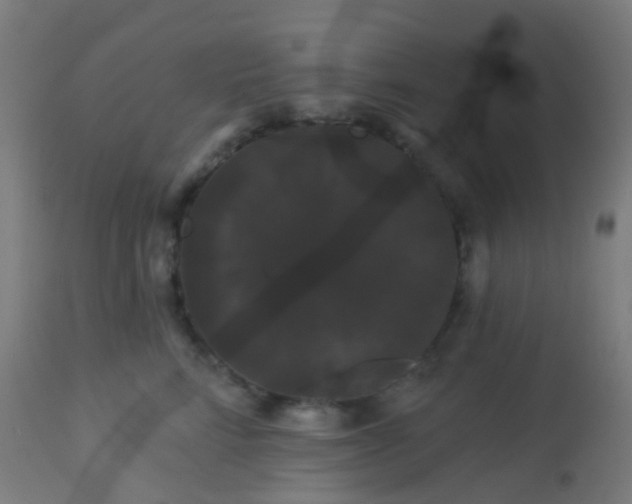 X0000114180712200910221713