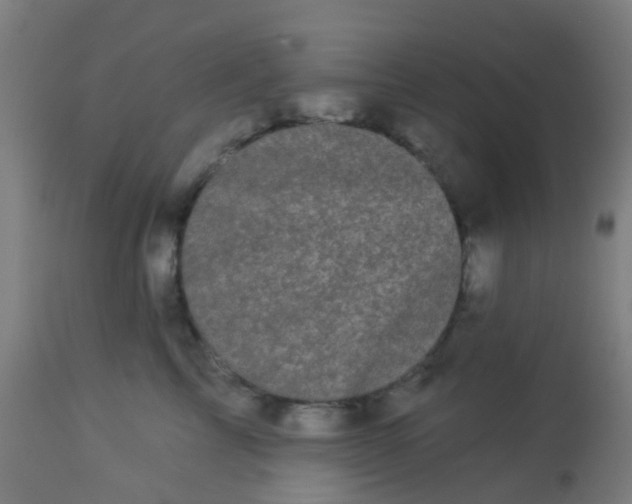 X0000114180713200910221713