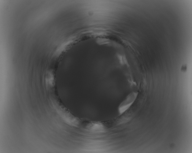 X0000114180715200910221713