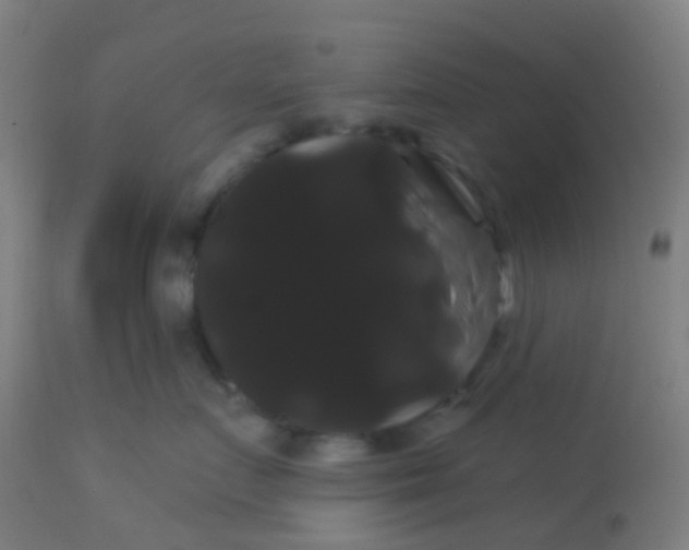 X0000114180719200910221713