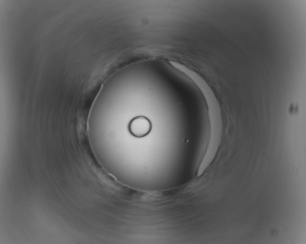 X0000114180720200910221713