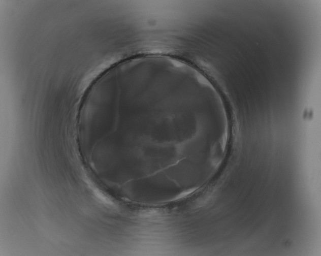 X0000114180721200910221713