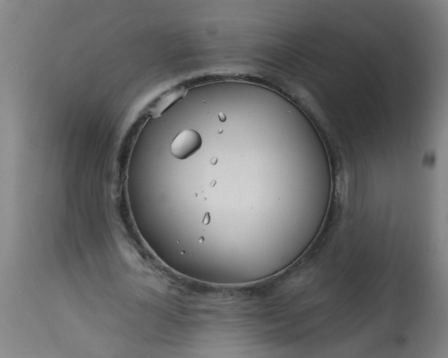 X0000114180724200910221713