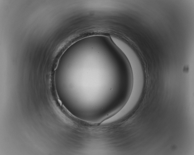 X0000114180725200910221713