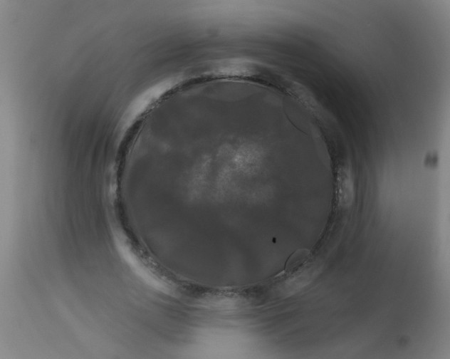 X0000114180726200910221713