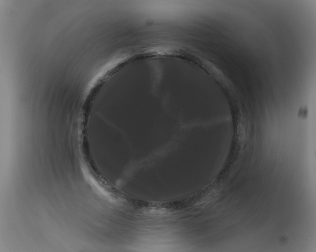 X0000114180730200910221713