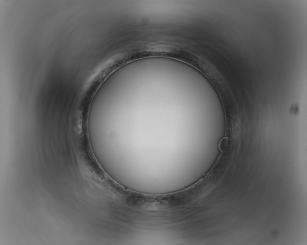 X0000114180731200910221713