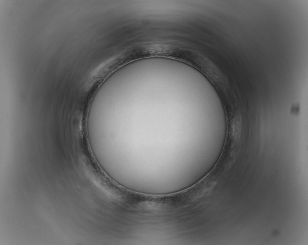 X0000114180733200910221713