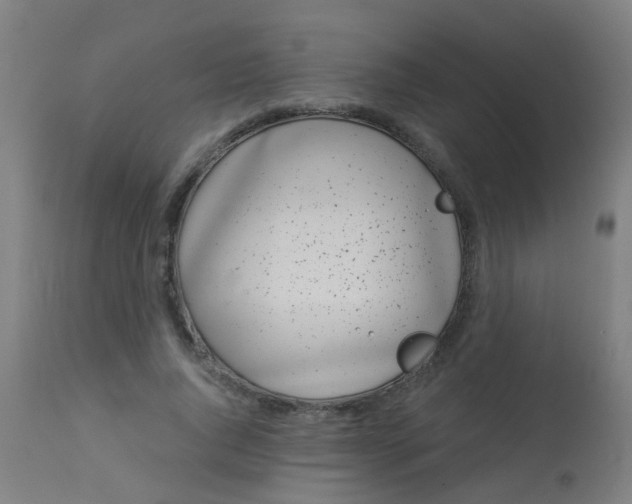 X0000114180736200910221713