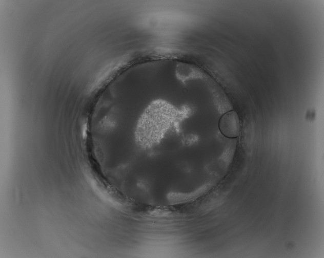 X0000114180742200910221713