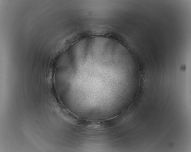 X0000114180745200910221713