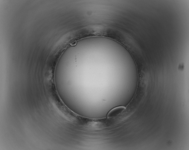 X0000114180748200910221713