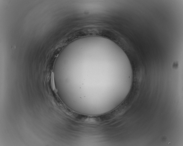 X0000114180751200910221713