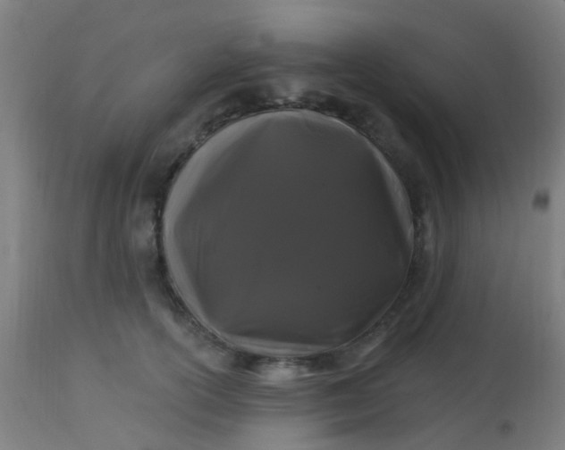 X0000114180754200910221713