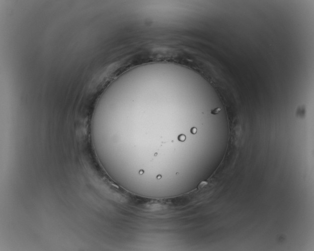 X0000114180756200910221713