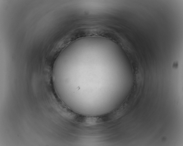 X0000114180757200910221713