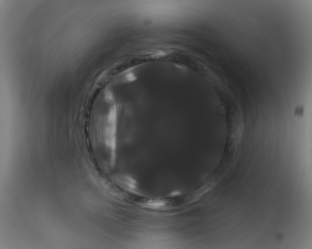 X0000114180758200910221713