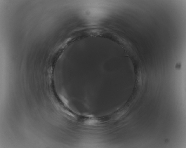 X0000114180759200910221713