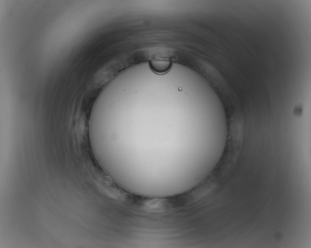 X0000114180761200910221713