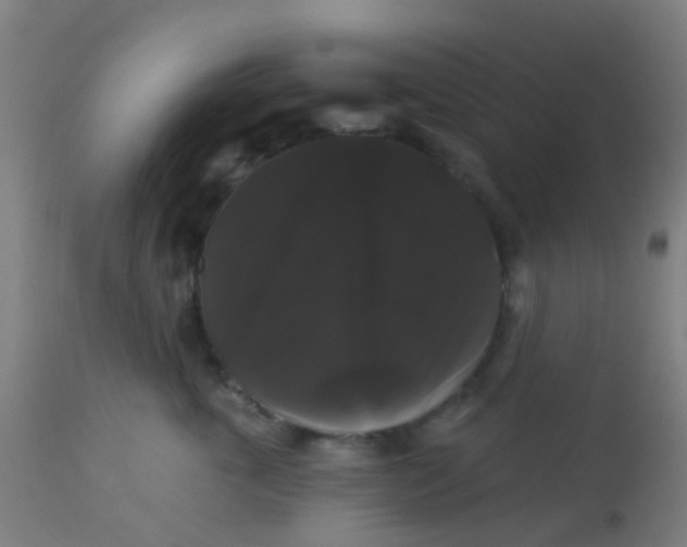 X0000114180763200910221713