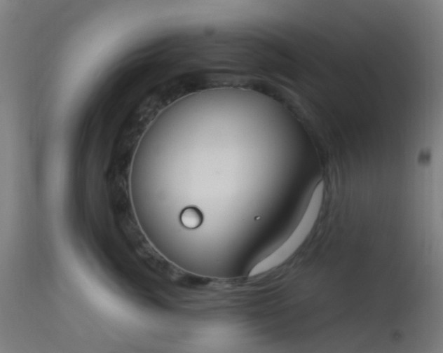 X0000114180764200910221713