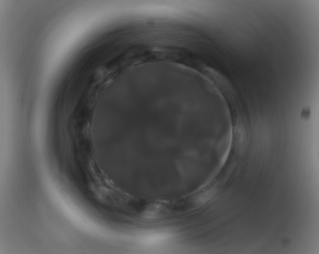 X0000114180765200910221713