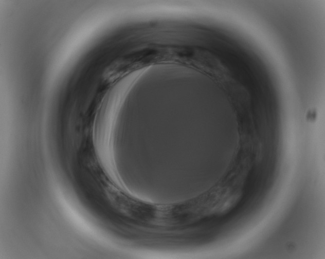 X0000114180766200910221713