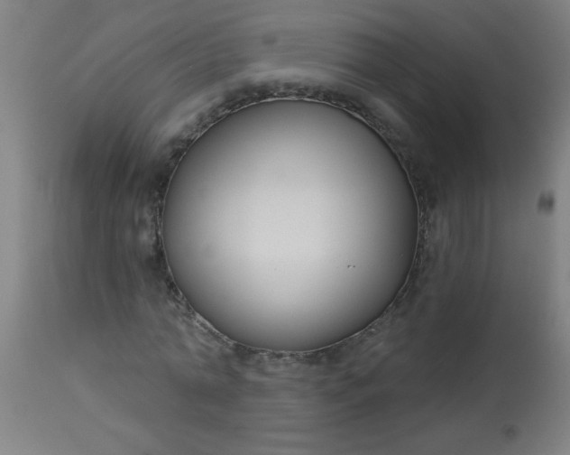 X0000114180774200910221712