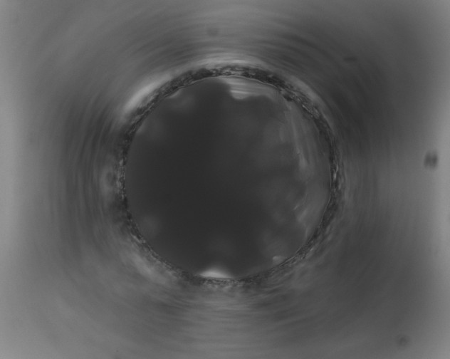 X0000114180775200910221712