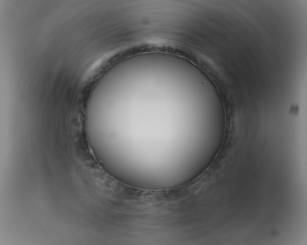 X0000114180776200910221712