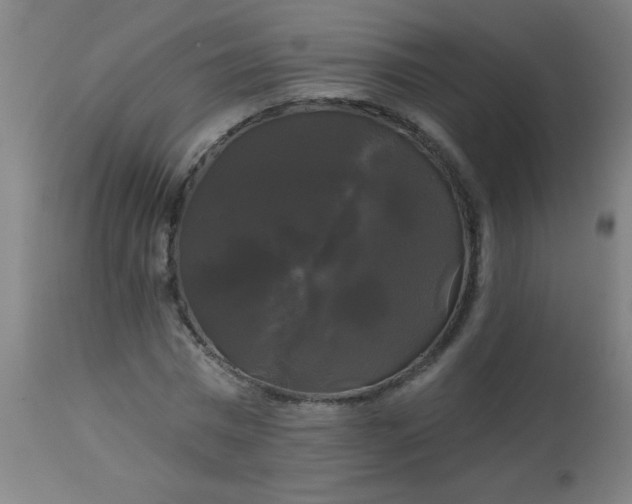 X0000114180777200910221712