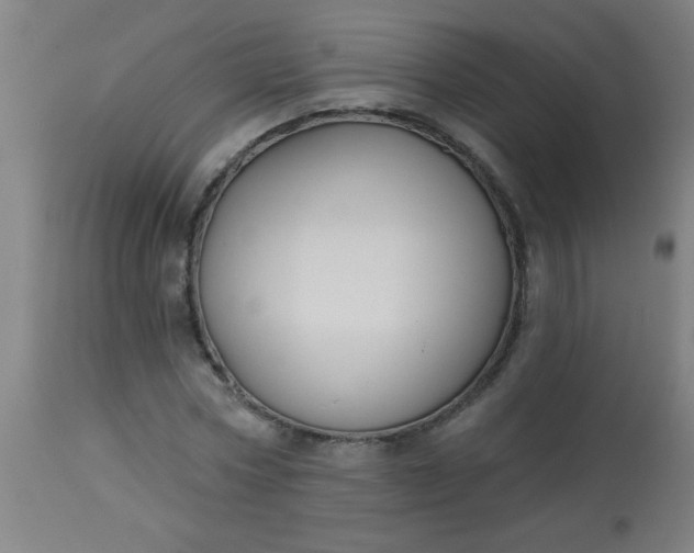 X0000114180778200910221712