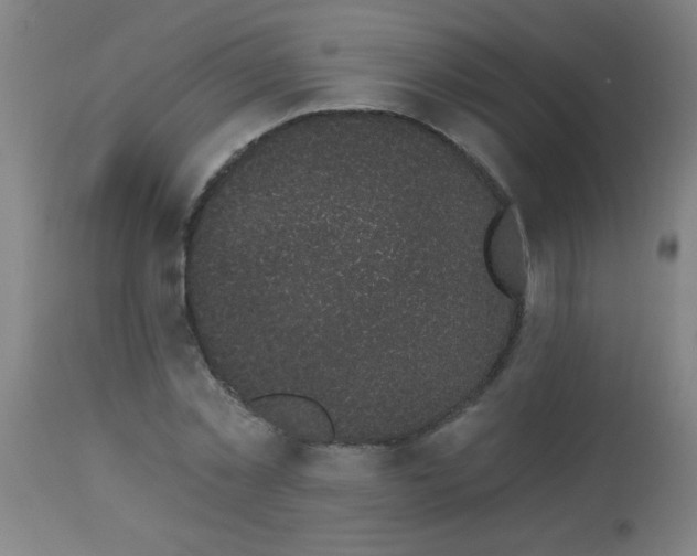 X0000114180781200910221712