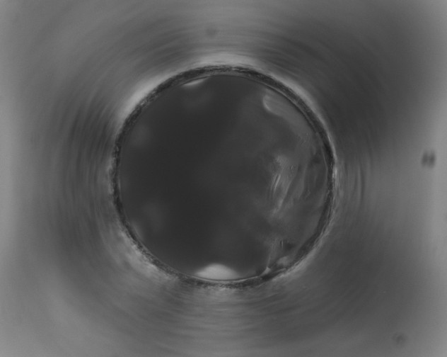 X0000114180783200910221712