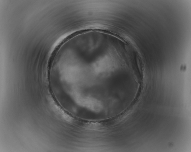 X0000114180784200910221712