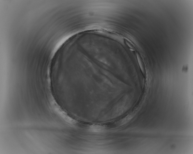 X0000114180788200910221712