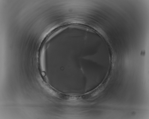 X0000114180790200910221712