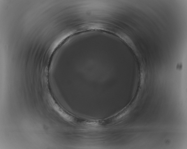 X0000114180798200910221712