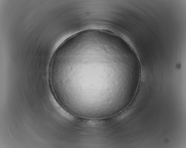 X0000114180803200910221712