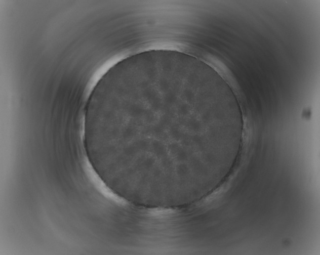 X0000114180804200910221712