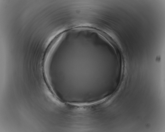 X0000114180806200910221712