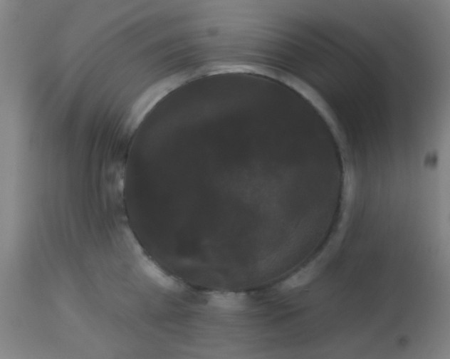 X0000114180809200910221712