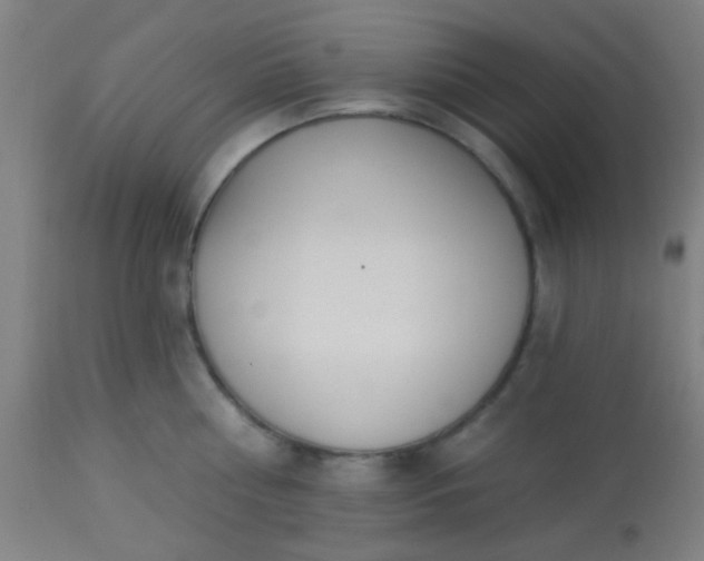 X0000114180810200910221712