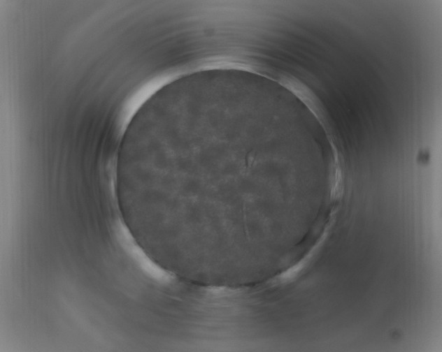 X0000114180812200910221712