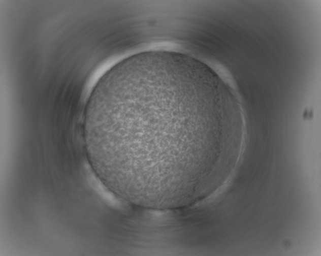 X0000114180816200910221712