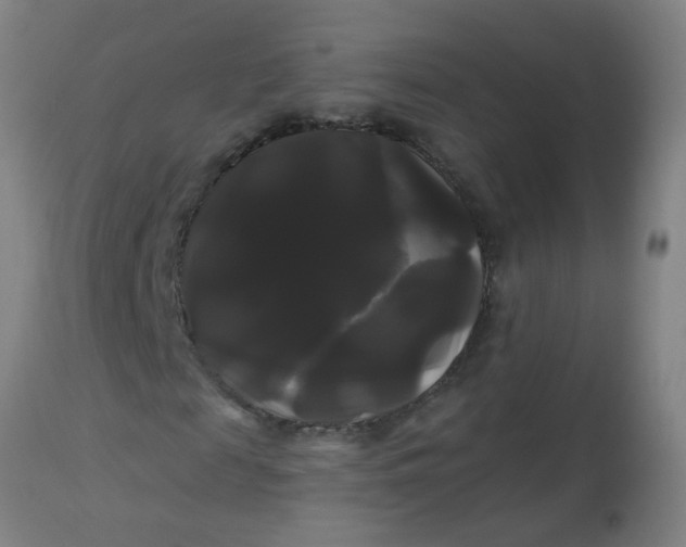 X0000114180817200910221711