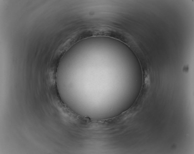 X0000114180819200910221711